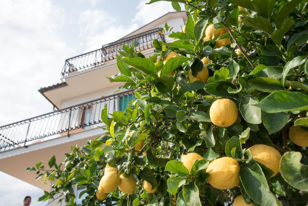 Residence Oleandro П'єтра-Лігуре Екстер'єр фото
